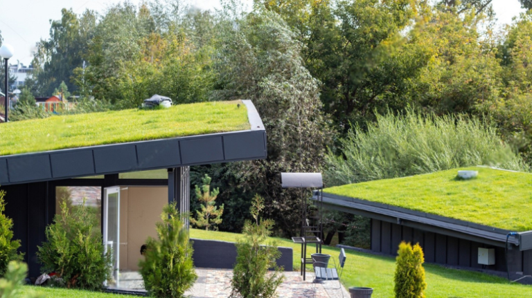 Importance of Green Roofs in Commercial Building Design - BuildOnInfra